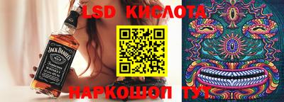 гидра Кудрово