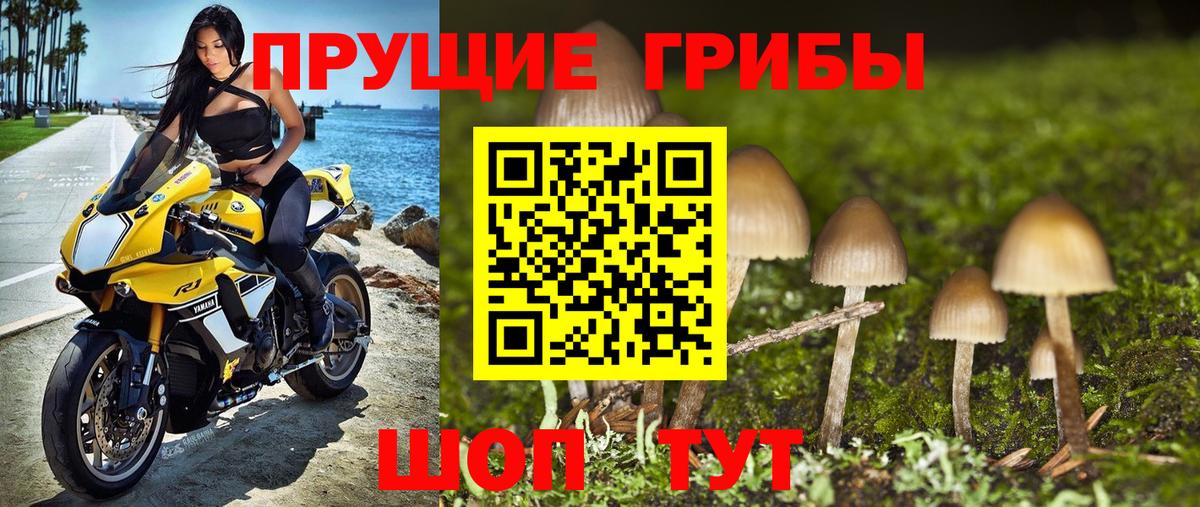 Псилоцибиновые грибы мухоморы Ачинск